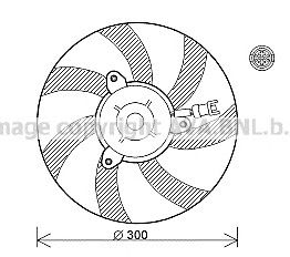 AVA QUALITY COOLING vw7527 -  Вентилятор, охлаждение двигателя